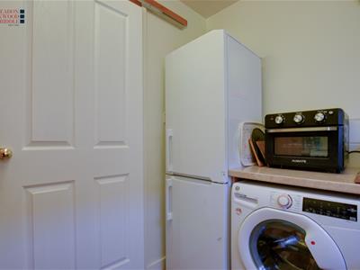 Picture 16